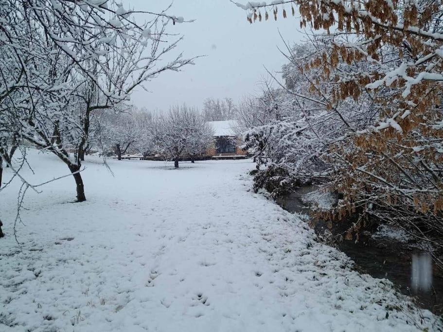 Vila Nica Wood Sremska Kamenica Exteriér fotografie