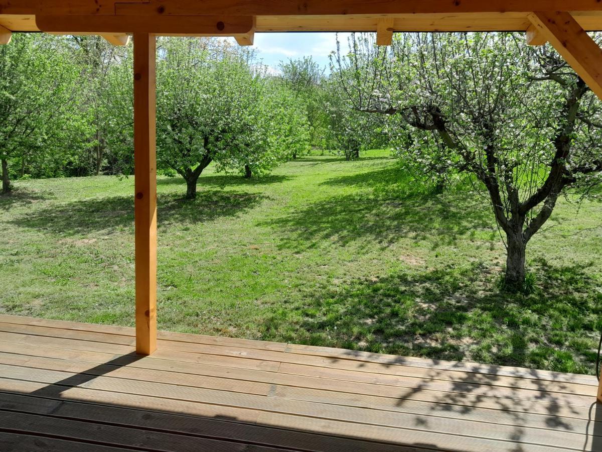 Vila Nica Wood Sremska Kamenica Exteriér fotografie