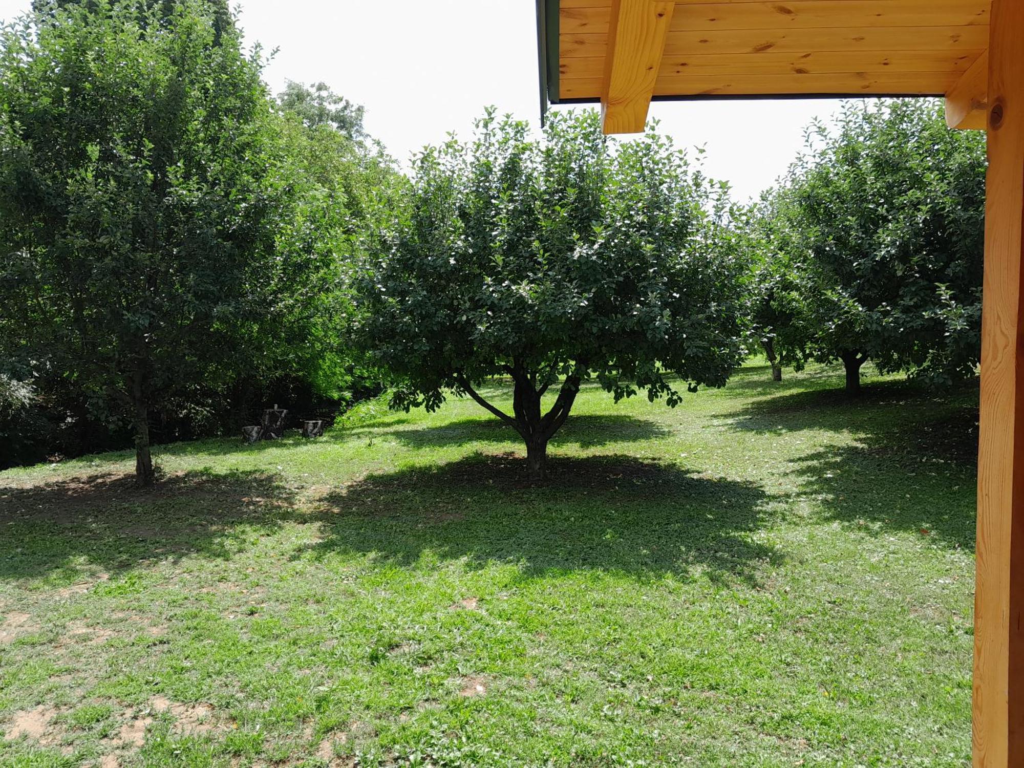 Vila Nica Wood Sremska Kamenica Exteriér fotografie