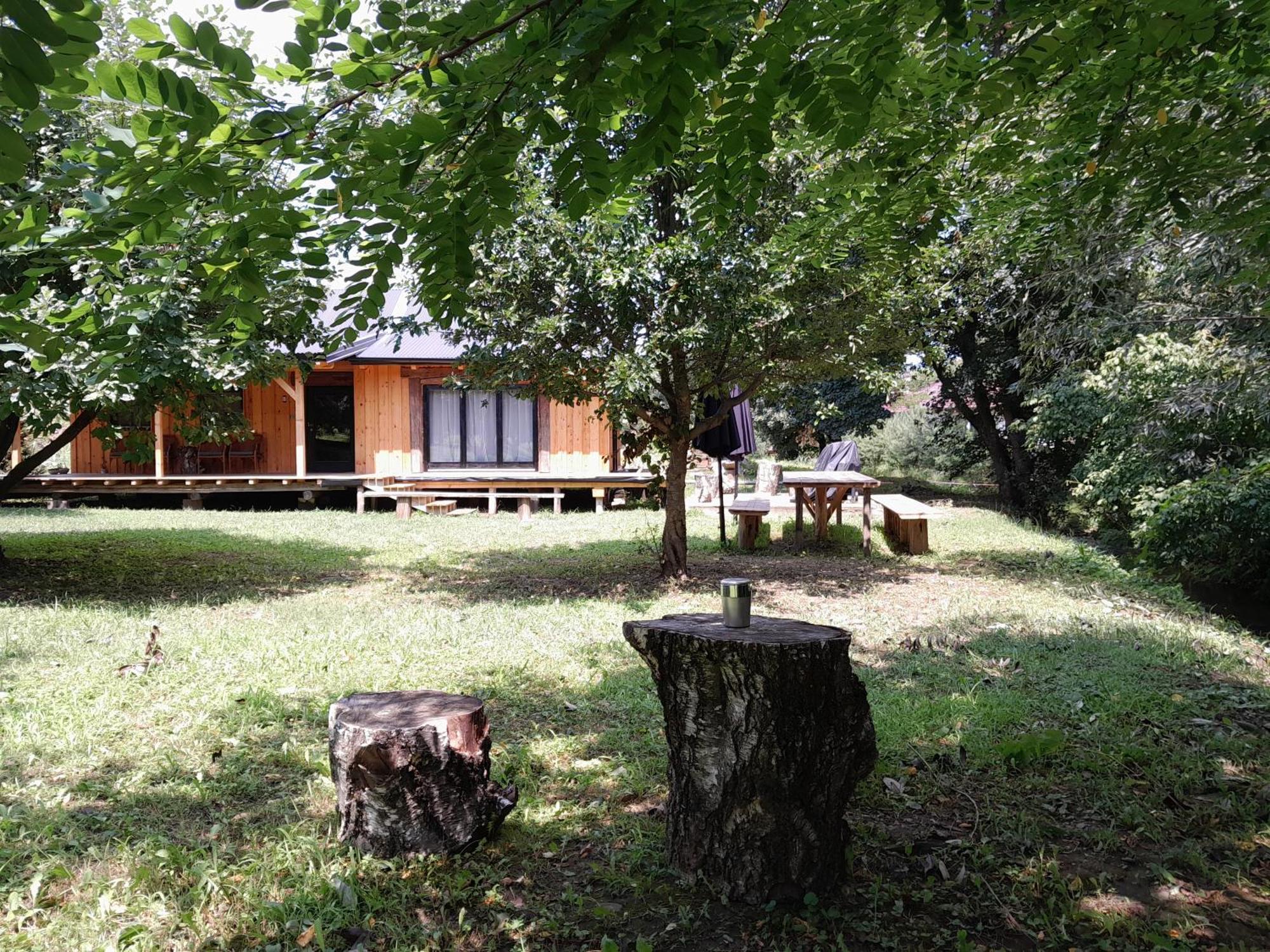 Vila Nica Wood Sremska Kamenica Exteriér fotografie